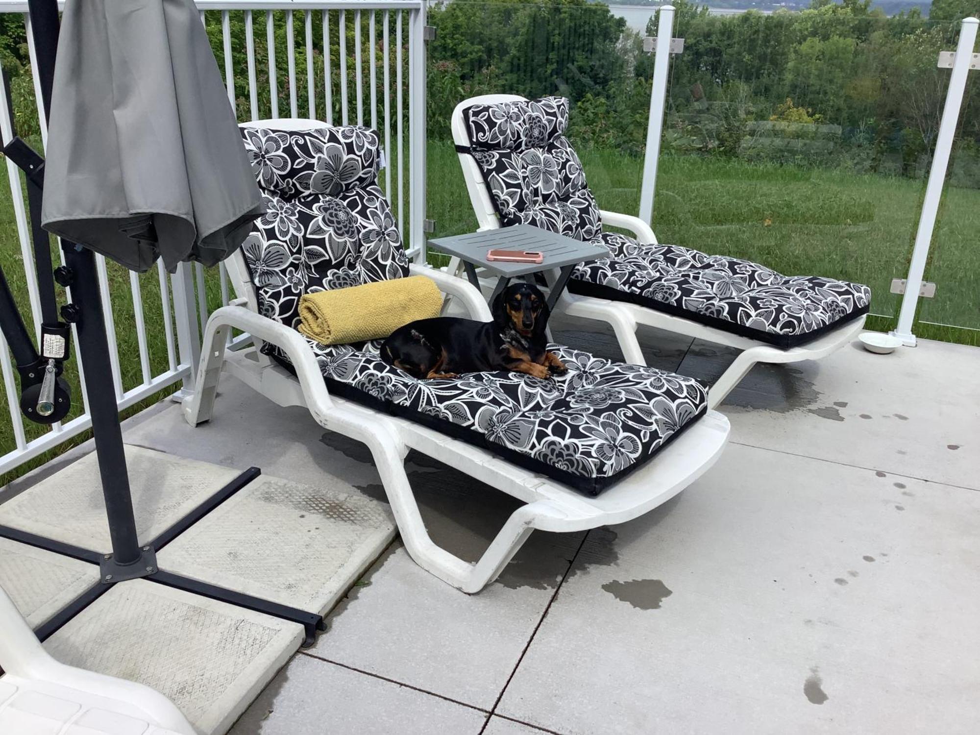 Bed and Breakfast Les Saisons Du Fleuve Lotbiniere Екстер'єр фото